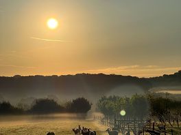 Morning mist over the field