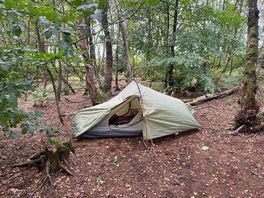 My tent setup on one of the smaller pitches at the rear of the woodland.