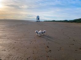 Nice walk
