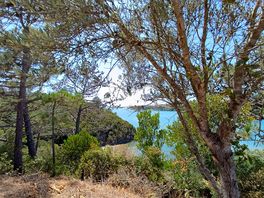 Point de vue sur le joli plan d'eau a proximité du camping.