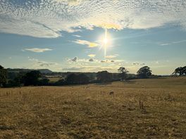Fantastic clouds