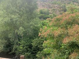 Vistas desde la parcela