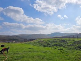 View from site