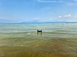 Lago di garda....and sam