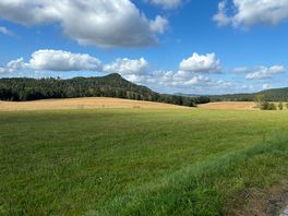 The view