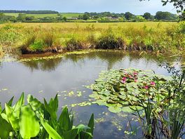 Fishing lake
