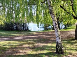 Lake view