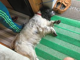 Knackered!
