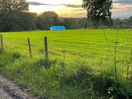 Field