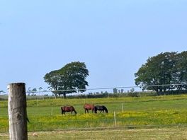 View across fields from campsite