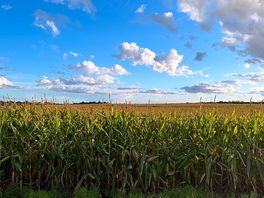 View of the neighbouring field