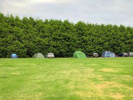 Grass pitches