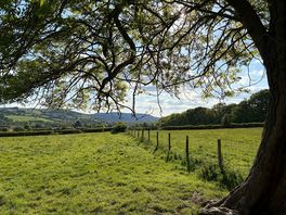 View from the site