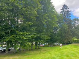 Campsite