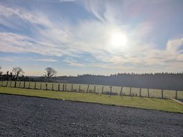 View from van