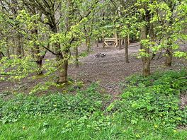Real and well kept woodland