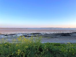 Beach view.