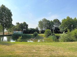 The pond