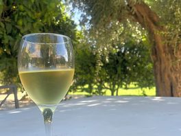 Vino del terreno