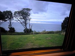 Morning view