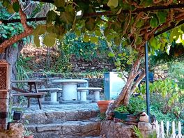 Fabulous gardens