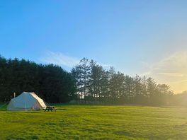 The wild camping field