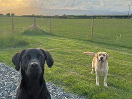 Sunset nearly