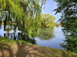 Another lake view