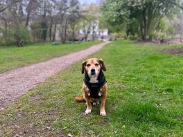 Old boy keeping up