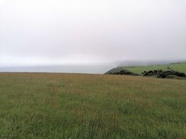 A misty start