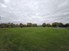 Looking out from the corner nearest the goat enclosure onto field 9.
