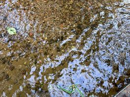 Lovely clear river