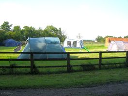 Peaceful grass setting