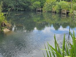 Lake view