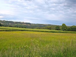 Next fields