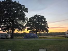 View from my tent