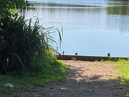 One of the lovely swims