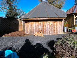 Our dog enjoyed the sunshine ☀️