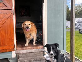 Happy boys