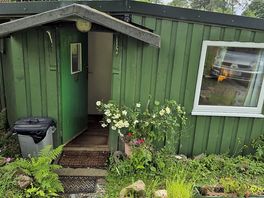 Forester cabin