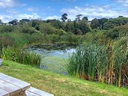 Pond