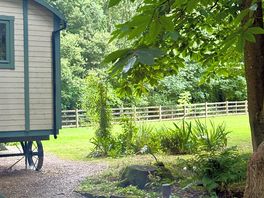 Looking at the shepherds hut from the fire.