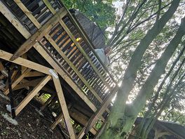 Tree house