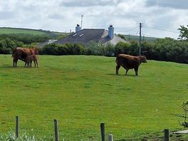Neighbours