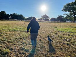 Dog walk