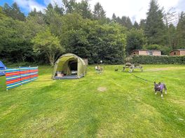 Our pitch