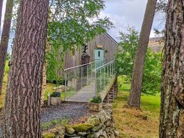 Entrance of Scots Pine
