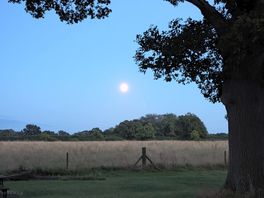 Clear evening sky