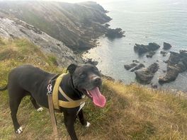Coastal path