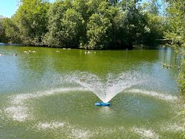 Water feature